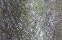 Kyleakin fibreglass roof work